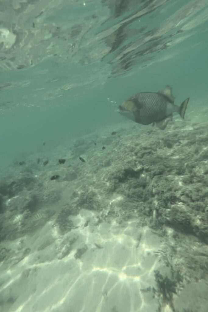 はての浜の写真