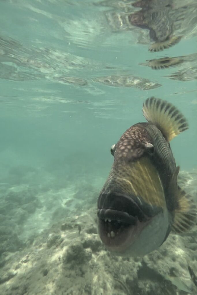 はての浜の写真